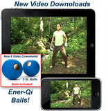 5lb Magnetic Ener-Qi Balls (One Pair) - Course Available On DVD or Instant Download | From $49 - $249