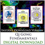 Qi Gong Fundamentals 1 & 2 Home Study Course by Michael Winn