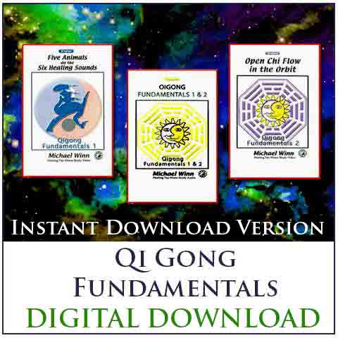 Qi Gong Fundamentals 1 & 2 Home Study Course by Michael Winn