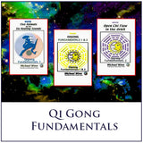 Qi Gong Fundamentals 1 & 2 Home Study Course by Michael Winn