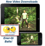2.5lb Magnetic Ener-Qi Balls (One Pair) - Course Available On DVD or Instant Download