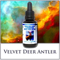 Velvet Deer Antler - World's Most Powerful Extract!