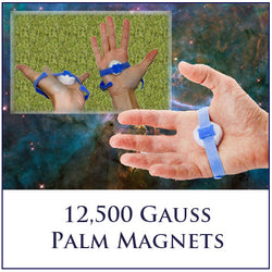 Palm Magnets - 12,500 Gauss Super Powerful Rare Earth Magnets (One Pair)
