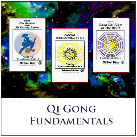 Qi Gong Fundamentals 1 & 2 Home Study Course by Michael Winn